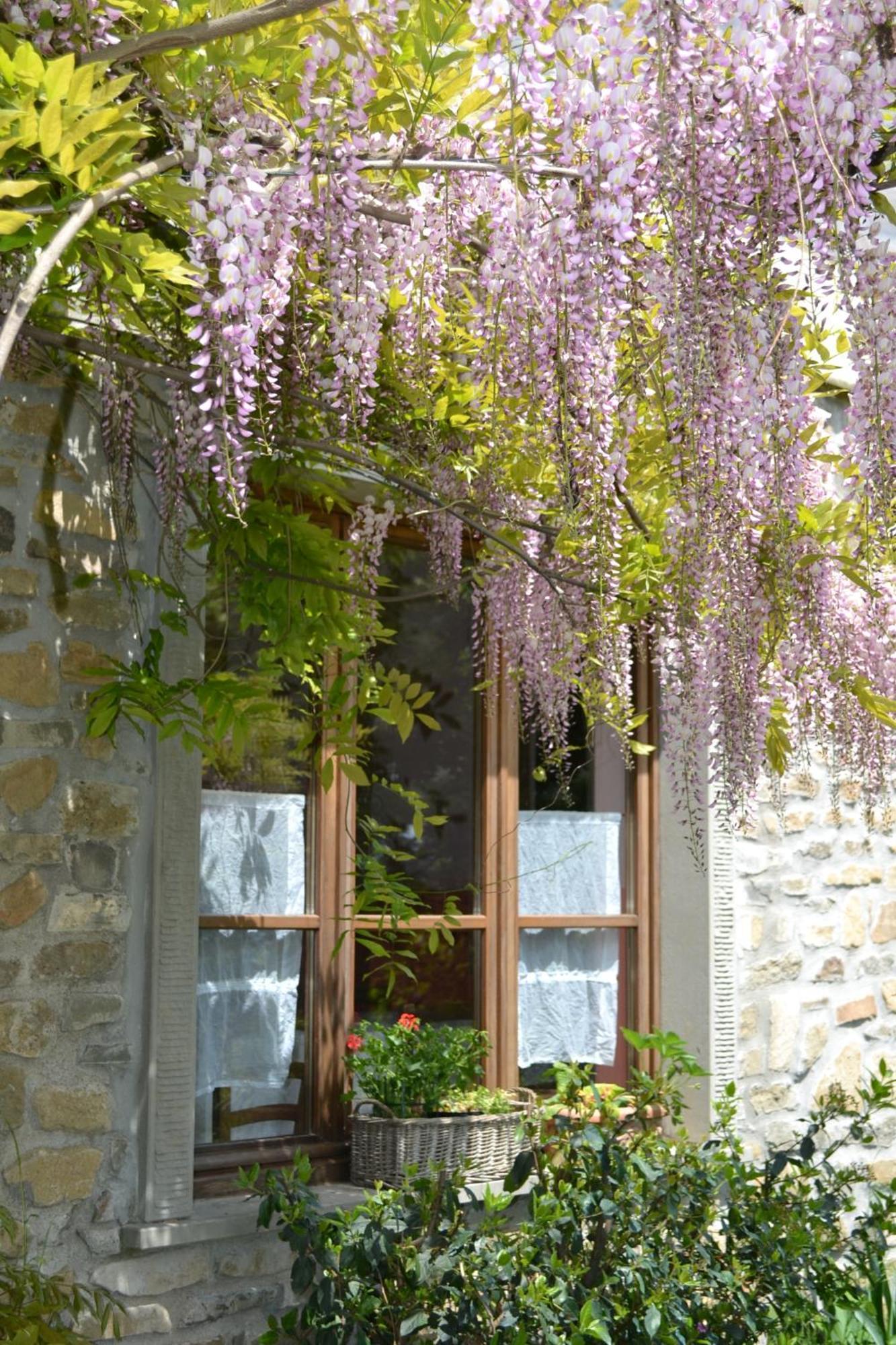 Villa Agriturismo Saudon à Mulazzo Extérieur photo